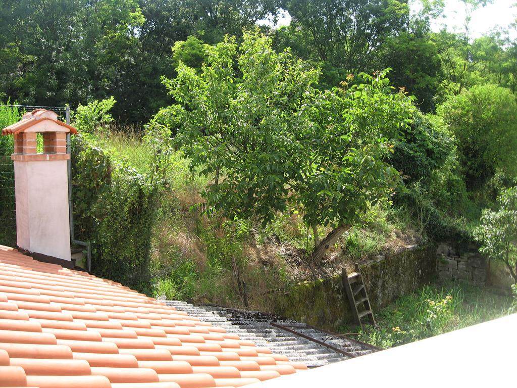 Apartments Alen Pazin Bagian luar foto